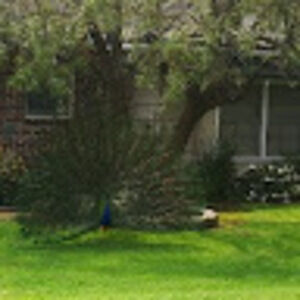 Meet your Posher, Audrey